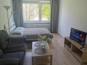 Modern studio Debreceno, Self-Check-In, Free Parking, Klaipeda